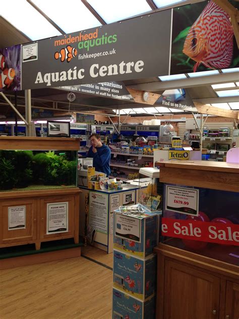 Leeds North Maidenhead Aquatics Fish Store Review Tropical Fish Site
