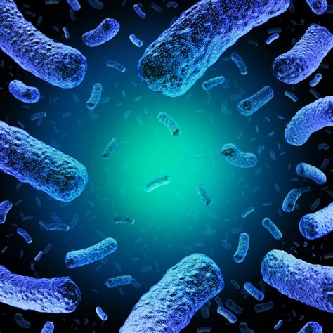Kenali Gejala Akibat Infeksi Bakteri Listeria Monocytogenes Info My