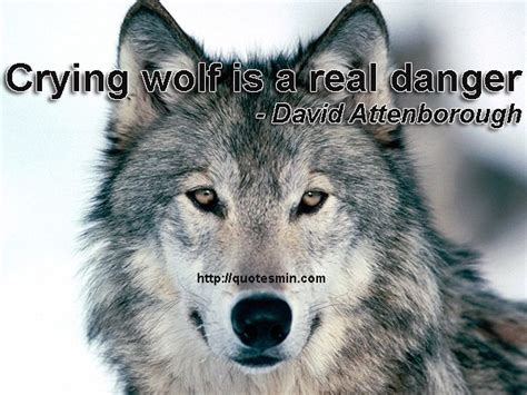 Crying Wolf Quotes Quotesgram