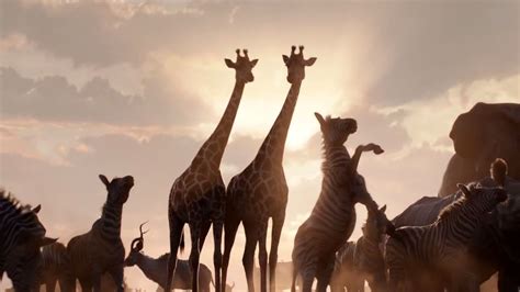 Cgmeetup The Lion King Official Teaser Trailer By Cgmeetup