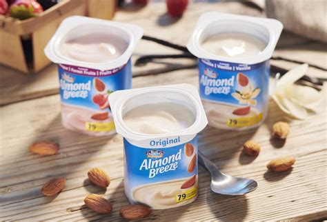 Primer Yogurt De Almendras Con Fermentos Activos