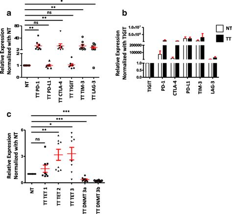 Dna Methylation And Repressive H K And H K Trimethylation In The