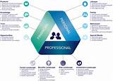 Pictures of Professional Services Financial Model