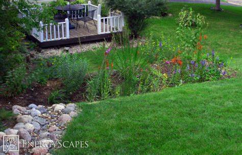 Maybe you would like to learn more about one of these? Rain Gardens - Traditional - Landscape - Minneapolis - by ...
