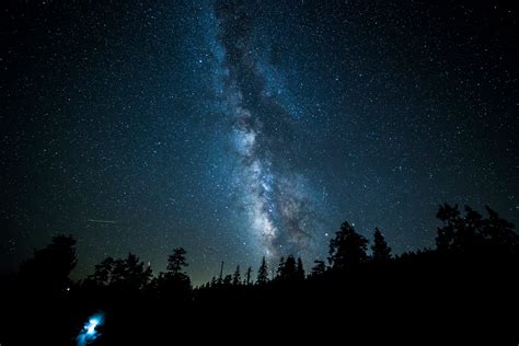 Free Images Tree Silhouette Sky Night Star Milky Way Atmosphere