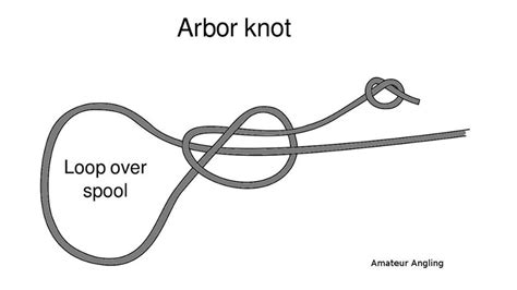 Arbor Knot Knots Fishing Knots Tying Fishing Line