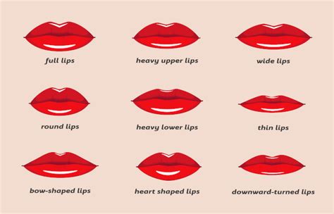 what are the different lip shapes and how do you enhance them
