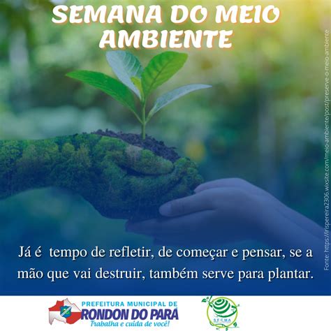 Semana Do Meio Ambiente Prefeitura Municipal De Rondon Do Pará