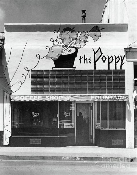 The Poppy Coffee Shop Fountain Alvarado Street Monterey Circ