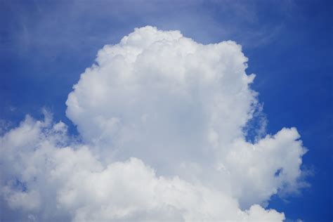 รูปภาพ ท้องฟ้า ขาว แสงแดด ตอนกลางวัน Cumulus สีน้ำเงิน ภูมิ