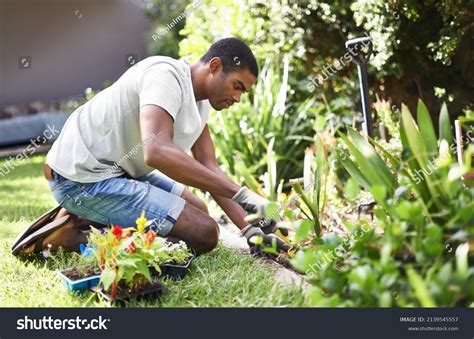 Gardening Black Man Stock Photos And Images Free Download With Trial