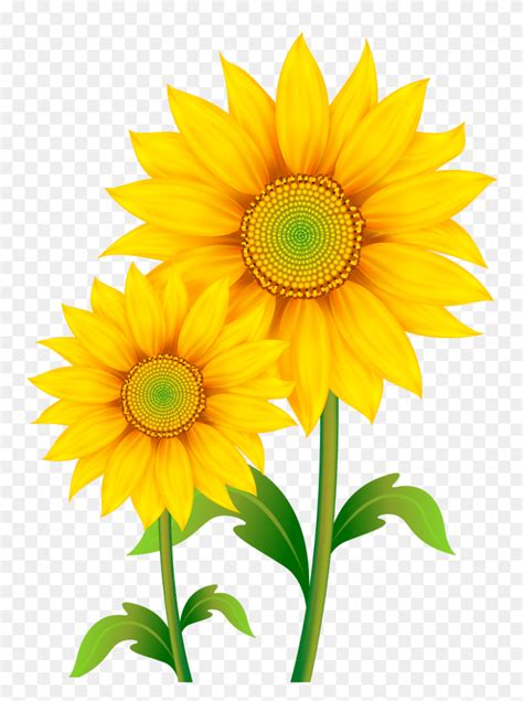 Daisy Flowers Emoji Copy And Paste Best Flower Site