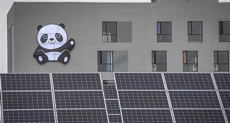 China Inauguran Planta De Energía Solar Con Forma De Oso Panda Fotos