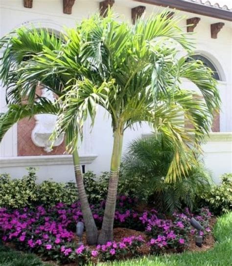 45 Awesome Florida Landscaping With Palm Trees Ideas Front Yard