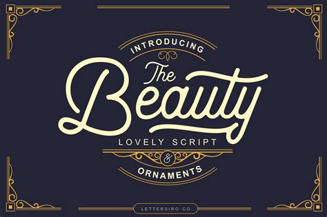 The Beauty Script And Ornaments ~ Script Fonts ~ Creative Market