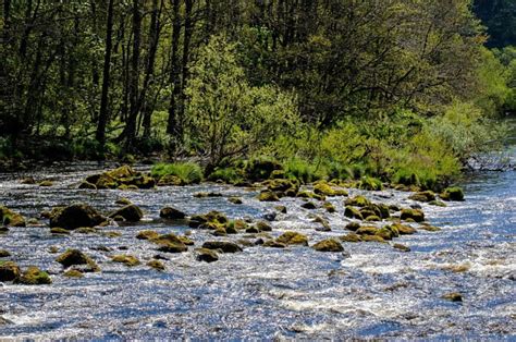 Lovely Flowing Riverscape Flowing Scenic Rivers Rocky Nature Hd
