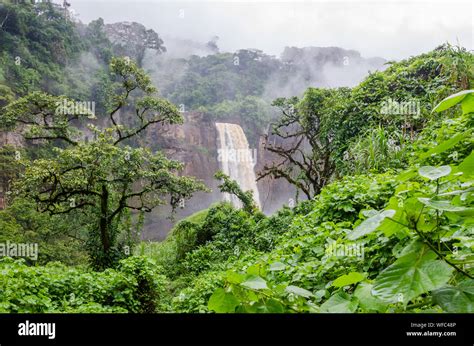 Ekom Waterfall Cameroon Hi Res Stock Photography And Images Alamy