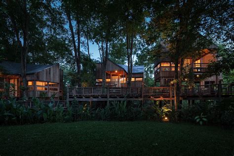 Backyard Jungle Stunning Eco Friendly Homes Engulfed In