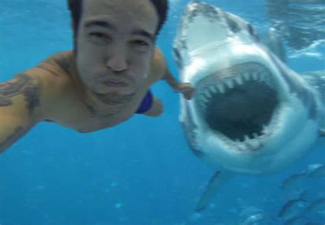It is in arcade category and is available to all software users as a free download. The Top Ten Most Outrageous Shark Attacks Ever - Innewsweekly