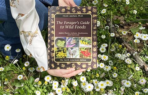 The Ultimate Guide To Foraging Wild Foods — Now Available Survive