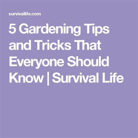 10 Gardening Tips And Tricks You Can Use Right Now Gardening Tips