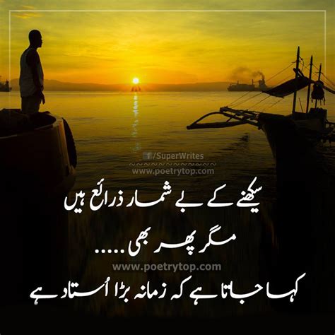 Best Motivational Quotes In Urdu Swan Quote