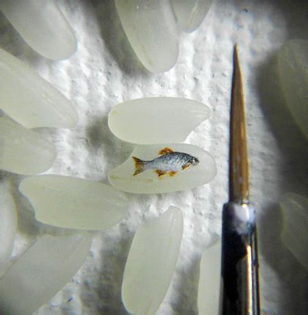 Micro Paintings by Hasan Kale