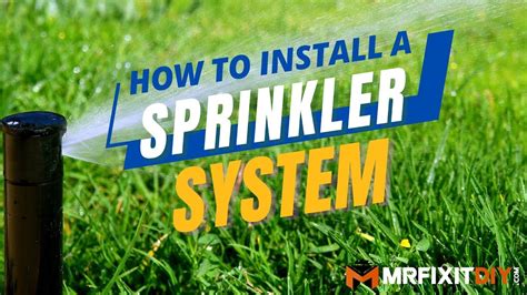 How To Install A Sprinkler System A Diy Guide Herbal Plant Power