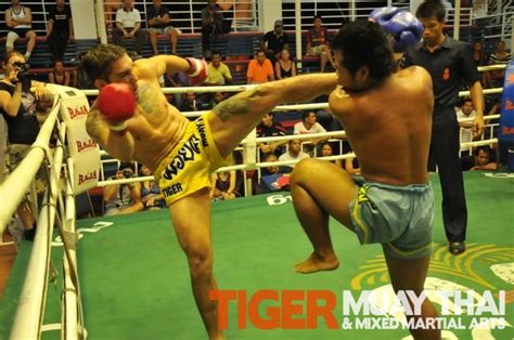 tiger muay thai and mma thailand fighters end may 2010 going 6 2 tiger muay thai and mma