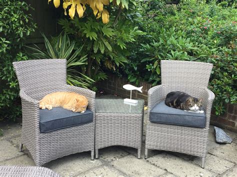 Best selling home decor barstools & counter stools. Glad our new bistro set gets the cats approval. | Outdoor ...