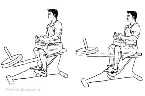 Seated Calf Raise Illustrated Exercise Guide Workoutlabs