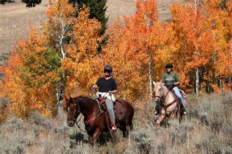 Horseback Riding In The Tetons Fabulous Fall Colors