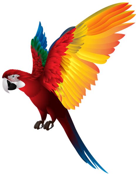 Parrot Flying Png