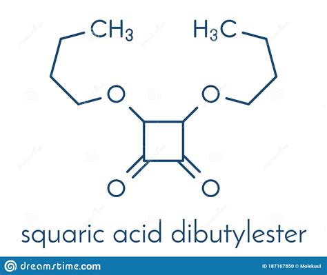 Squaric Acid Dibutyl Ester Drug Molecule Skeletal Formula Stock