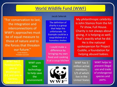 Ppt World Wildlife Fund Wwf Powerpoint Presentation Free Download
