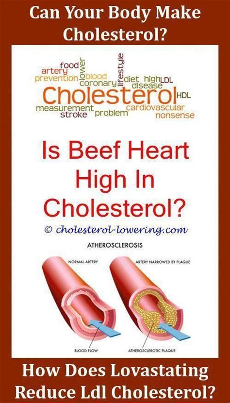 Firstly, exercise reduces your ldl or bad cholesterol levels but it can also increase your hdl or good cholesterol by as much as 10%. How To Increase Ldl Cholesterol Naturally?,cholesterol ...