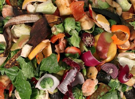 Toward the middle of this century, as deaths start to exceed births, changes will come that. 6 Easy Ways We Can Reduce Food Waste... and a Few Not so ...