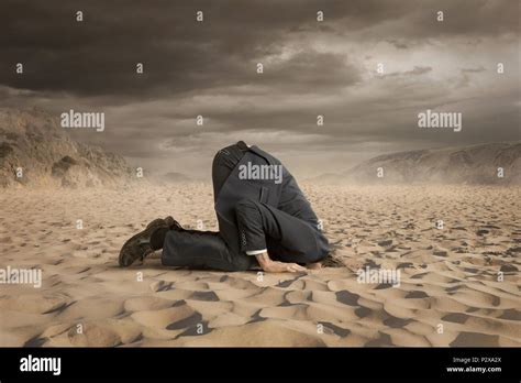 Young Businessman Hiding Head In The Sand Stock Photo Alamy