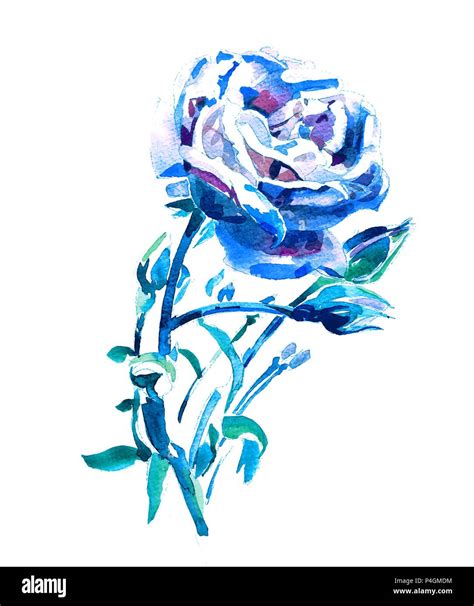 Blue Rose Watercolor Hand Painting Artwork Stock Vector Image And Art