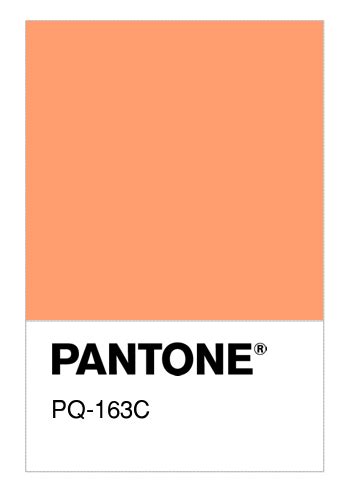Colore Pantone® Pq 163c Numerosamenteit