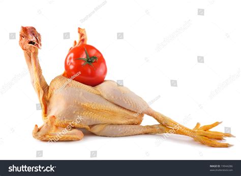 Nude Chicken Lying And Holding Big Tomato Stock Photo 19944286