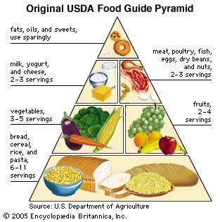 Government Food Pyramid 2023