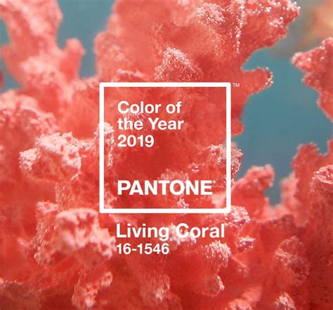 Color Of The Year 2019 Pantone 16 1546 Living Coral Pantone España