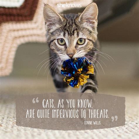 50 cat quotes that only feline lovers would understand cat quotes funny cat quotes cats