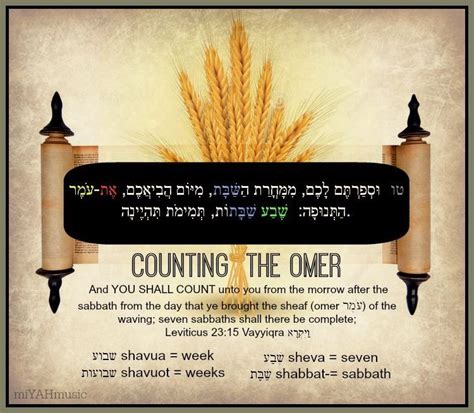Counting The Omer Leviticus 2315 Shavuot Jewish Celebrations