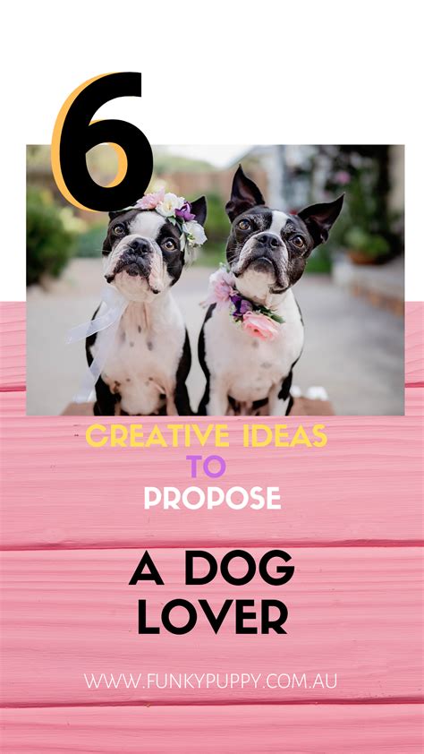 Marriage Proposal Ideas That Guarantee a YES - Funky Puppy | Dogs, Dog