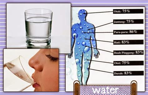 Air, sihat, gelas, susu, jus, kepentingan air dalam badan. Sabdo Langit: Cara Cepat Turunkan Berat Badan Dalam 2 ...