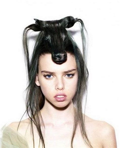 Weird Creative And Funny Animal Hairstyles