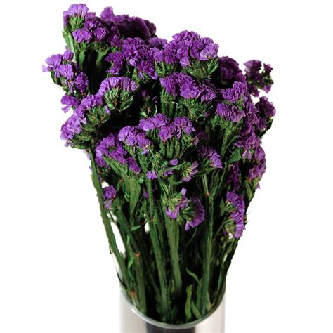 Select the right size, whether they adore small bouquets that are perfect to place anywhere or larger, more ostentatious blooms that instantly turn heads. Preserved Flowers | Statice Sinuata - Purple