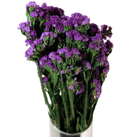 Artificial trees, silk flowers, fresh flowers, plants, outdoor plants, flowers, florist, silk greenery, wedding flowers, wedding products, basket ware, zinc products. Preserved Flowers | Statice Sinuata - Purple